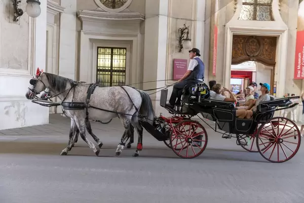 Tourists riding in a Viennese carriage