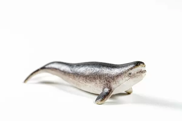 Toy figure of a whale on a white background (Flip 2019)