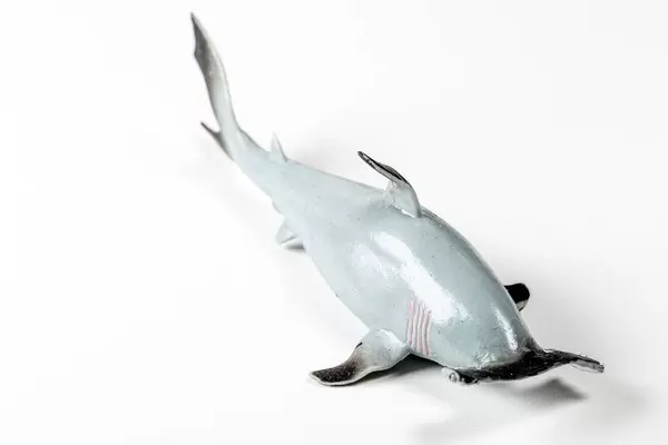 Toy hammer shark on a white background (Flip 2020)