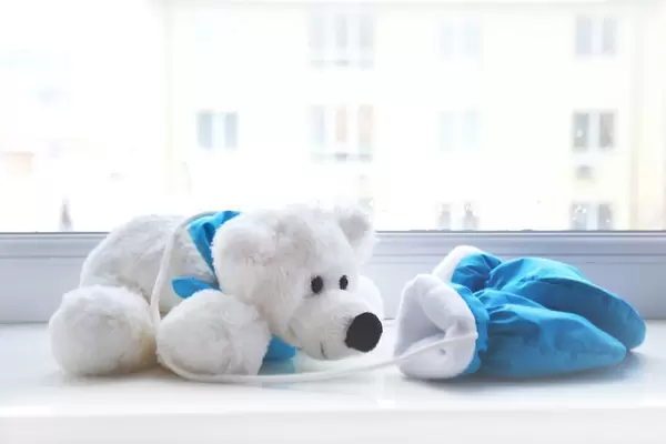 Toy  polar bear near the window