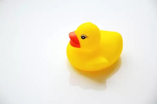 Toy rubber duck