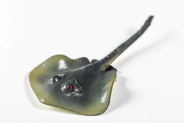 Toy sea stingray on white background (Flip 2019)