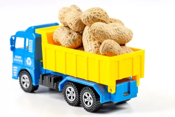 Toy truck with peanuts on white background (Flip 2020)