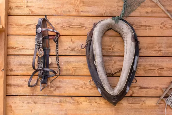 Traditionelles Pferdegeschirr aus Leder an einer Holzwand
