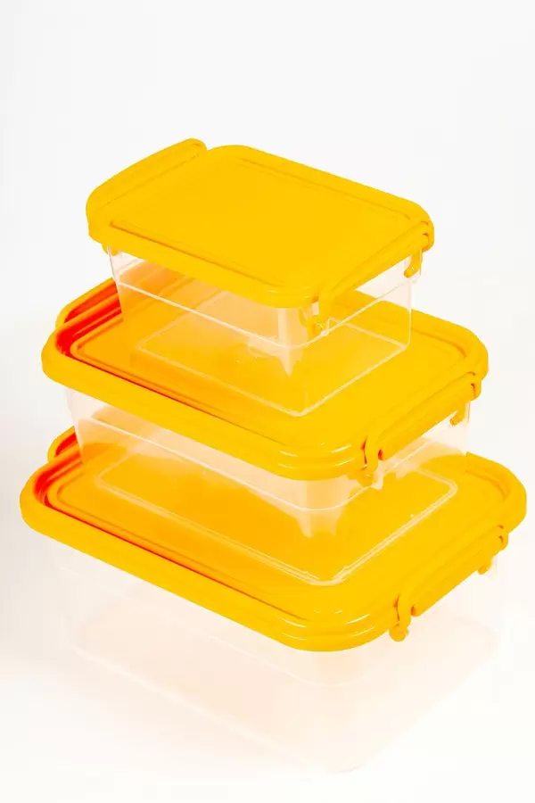 Transparent plastic food containers with orange lids (Flip 2020)