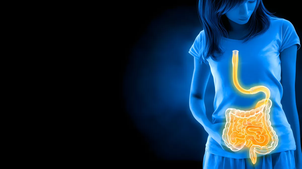 Transparentes Verdauungssystem der Frau