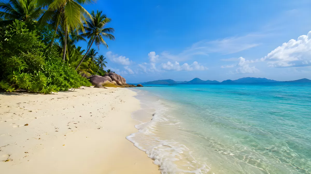 Traumstrand mit türkisem Wasser und Palmen