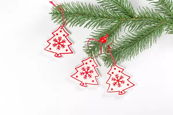 Tree branch with Christmas wooden decor