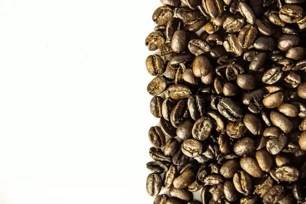 Trennlinie die Kaffeebohnen von der Leere trennt