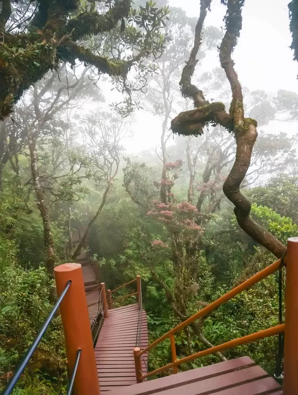 Treppenhaus in den Tropen