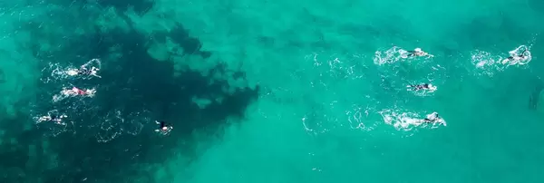 Triathlon: Open Water Swimming in clear Sea with Wet Suit