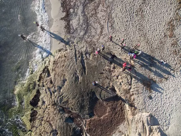 Triathlon-Sportler kurz vor Schwimmstart in Ca'n Picafort, Mallorca