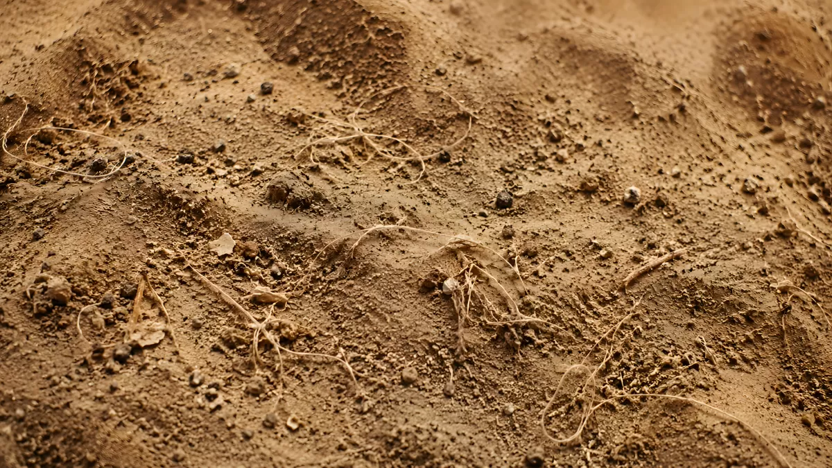 Trockene Erde mit Wurzeln und feinem Sandboden