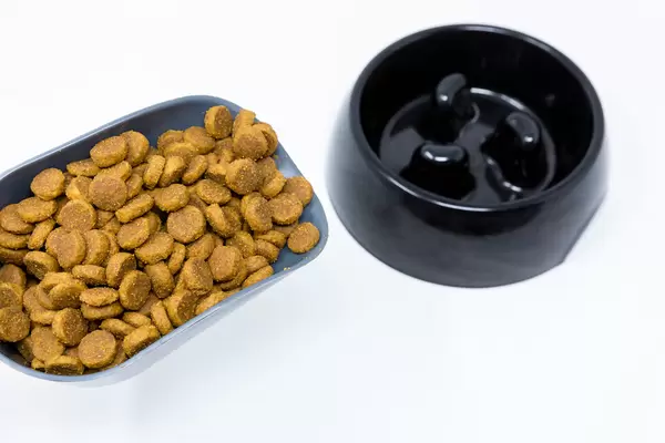 Trockenes Hundefutter und schwarzer Hundenapf. Nahaufnahme vor weißem Hintergrund