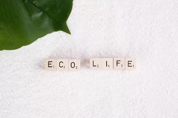Tropenblatt auf weißem Handtuch, neben dem Text "Eco Life" / Öko-Leben