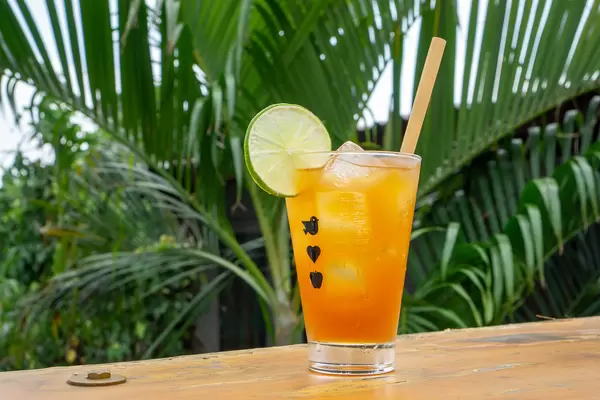 Tropical Summer Drink with Ice Cubes, Bamboo Straw and Slice of Lime in a Cocktail Glass with Plants in the Background
