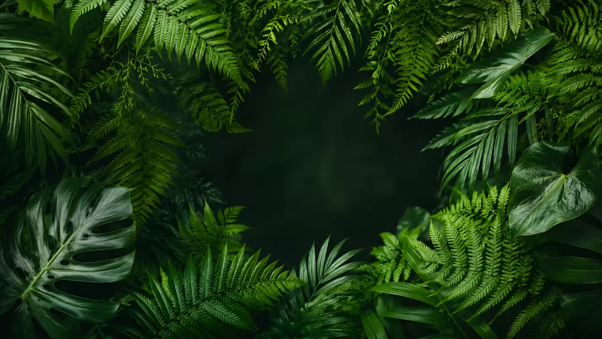 Tropische Blätter rahmen dunklen Hintergrund ein