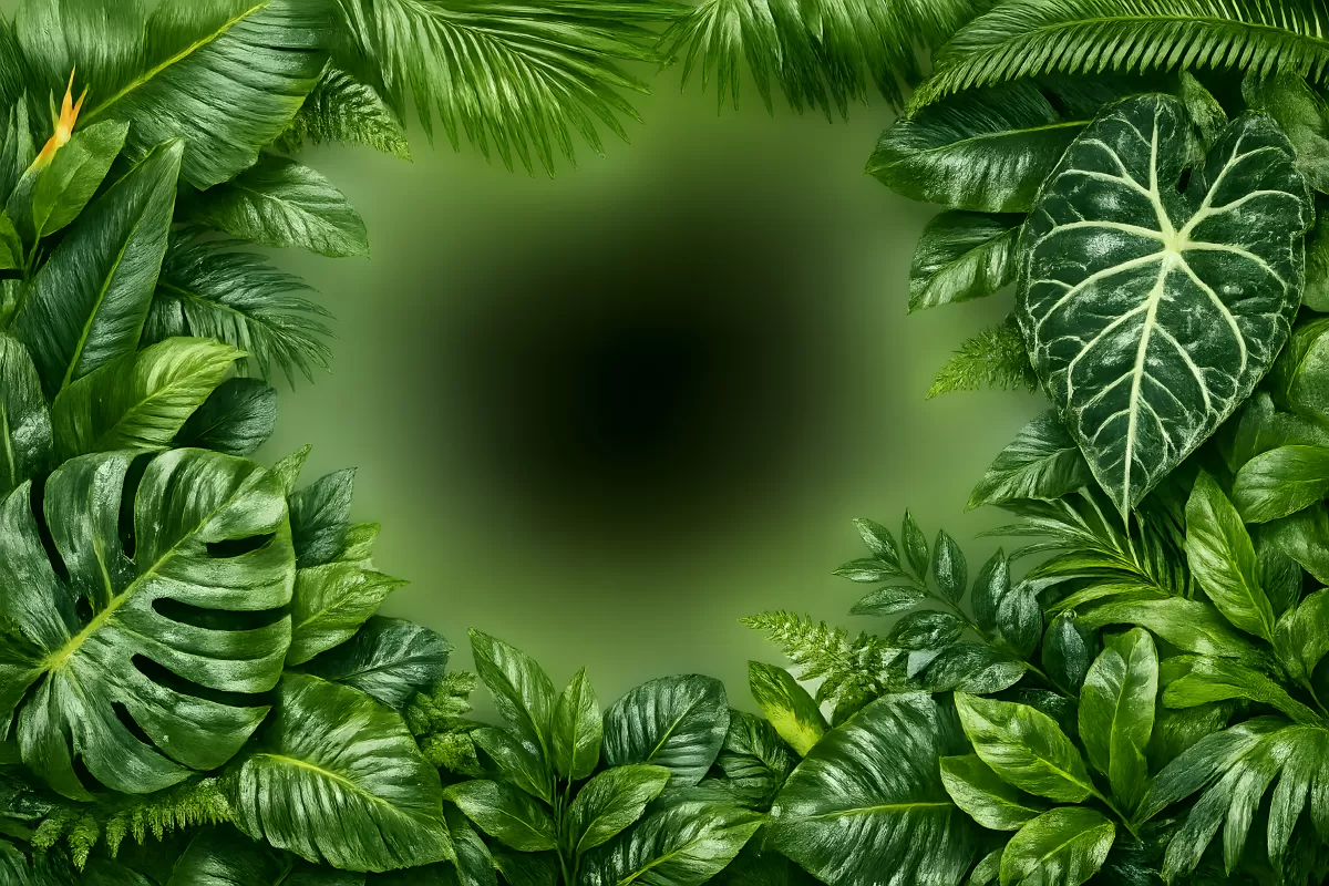 Tropische Blätter rahmen grünen Hintergrund ein