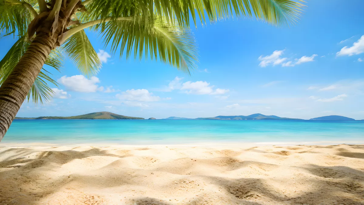 Tropischer Sandstrand mit Palme und türkisblauem Meer