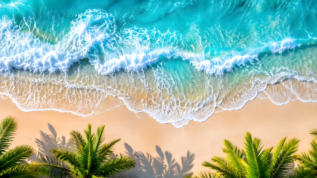 Tropischer Strand aus der Vogelperspektive mit Palmen