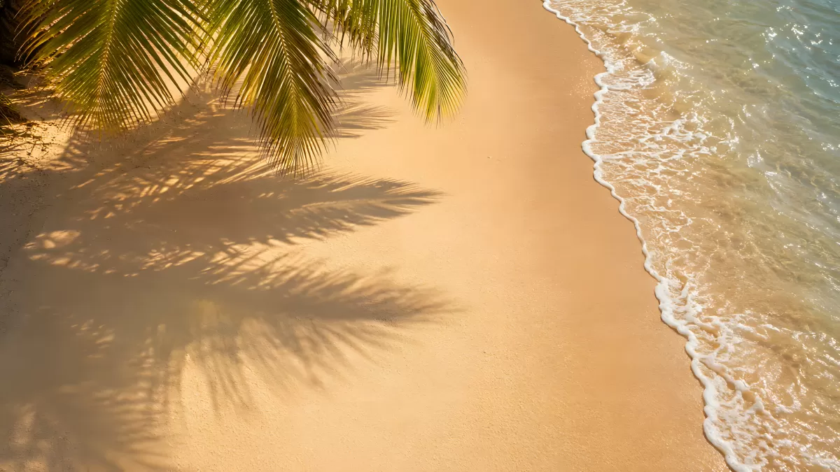 Tropischer Strand mit Palmenblättern und Meereswellen