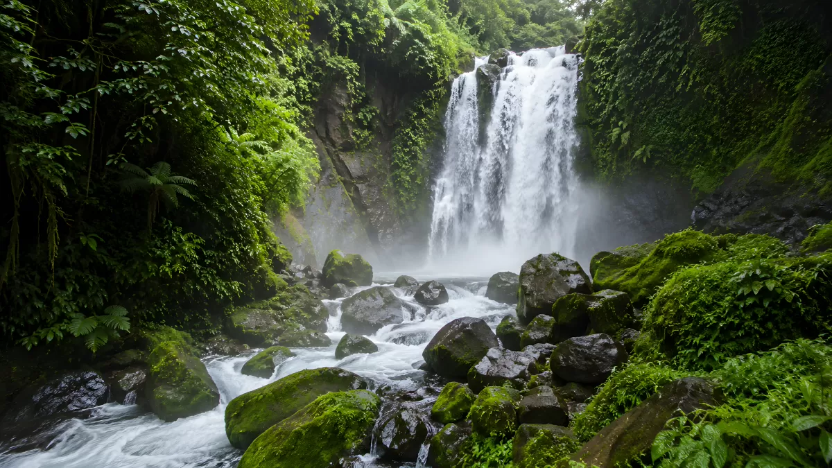 Tropischer Wasserfall im grünen Dschungel mit Felsen