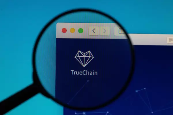 TrueChain logo under magnifying glass