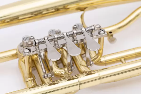 Trumpet buttons closeup image