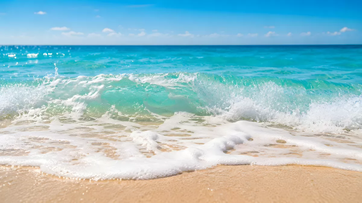Türkisfarbene Meereswelle bricht am Sandstrand