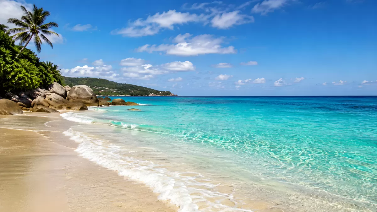 Türkisfarbenes Meer an einem tropischen Sandstrand