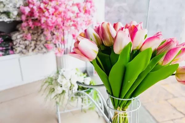 Tulips tied together at a flower shop