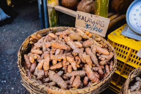 Turmeric in weaved basket for sale