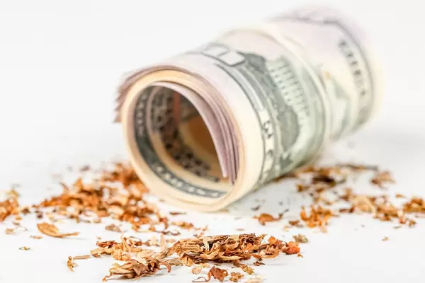 Twisted dollar bills and tobacco on a white background