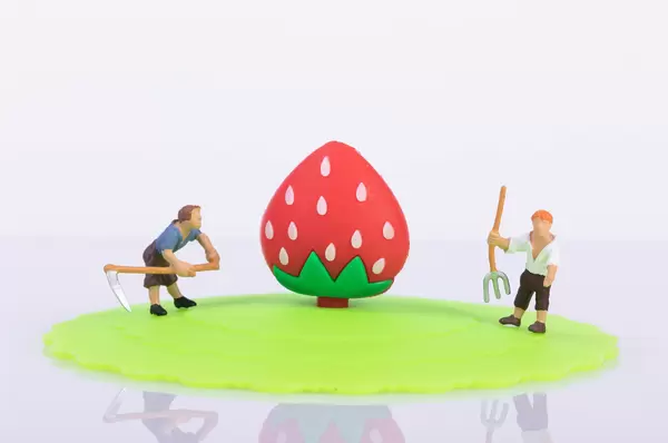 Two farmers with big strawberry