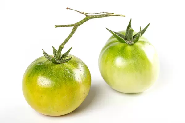 Two fresh green tomatoes with a branch