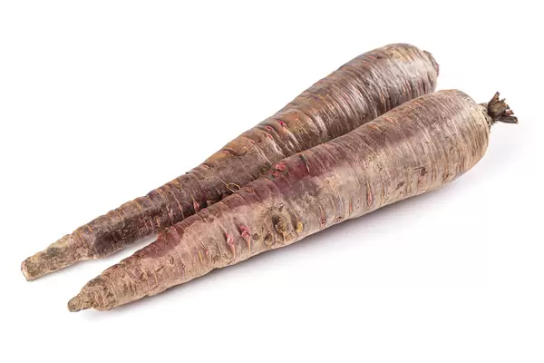 Two fresh purple carrots