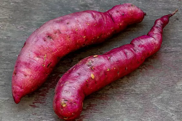 Two fresh ripe sweet potato root vegetables