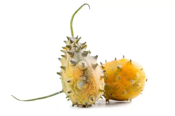 Two fresh whole kiwano, african cucumber on white background