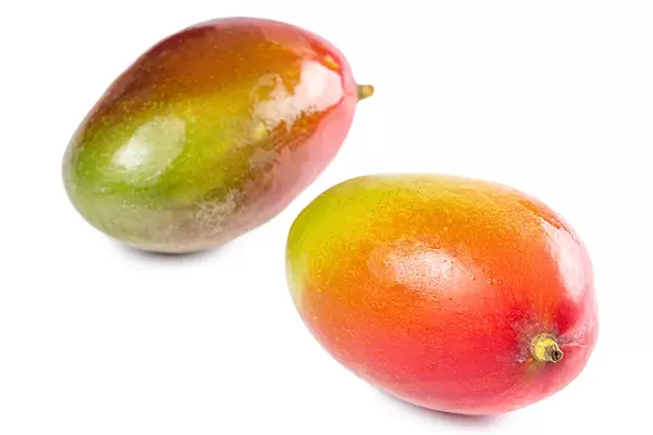 Two fresh whole mangoes on a white background