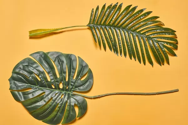 Two large leaves of palm trees on orange background