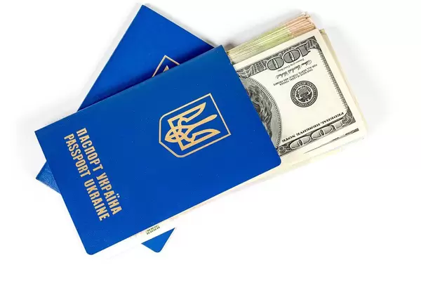 Two passports with dollars on a white background