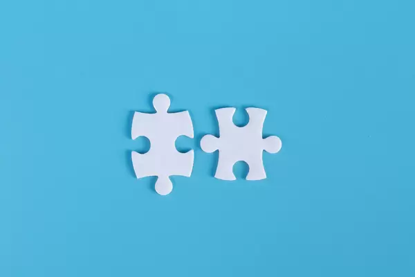 Two pieces of jigsaw puzzle
