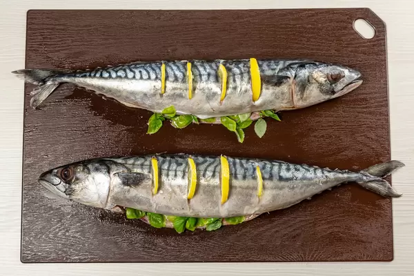 Two raw mackerel fish on a cutting board, top view