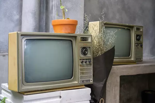 Two Retro Television with Plants as Vintage Cafe Decoration