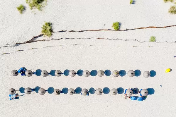 Two rows of Hawaii-style parasols, blue sunbeds and bushes. Cala Mesquida, Mallorca. Overhead shot