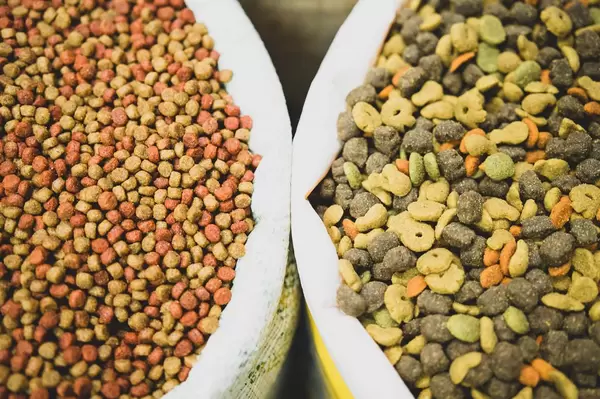 Two sacks of dog food