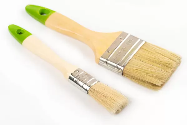 Two wooden brushes on a white background