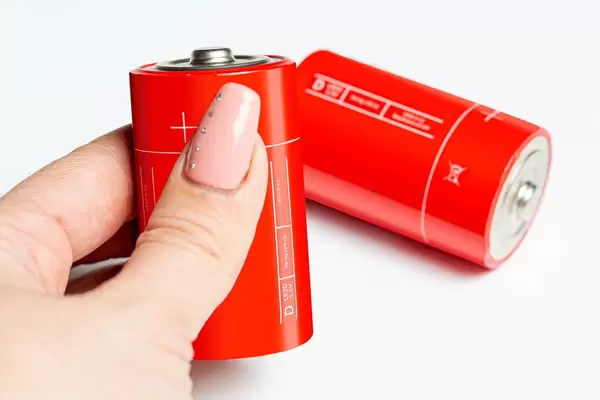 Type D salt batteries on a white background