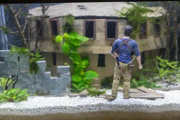 Uncharted Scene in an Aquarium