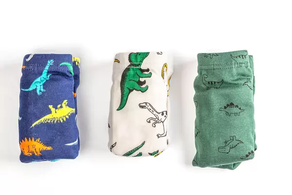 Underwear for a boy- three panties for children on white background